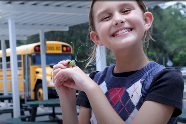 STEM Program